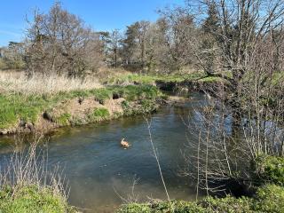 Old Rectory Lodge - 2