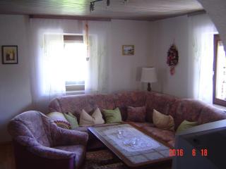Haus-Johanna-2 - Riedlhütte - 9