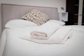 Old Town Whisper Apartments - Free Parking - Sarajevo - 6