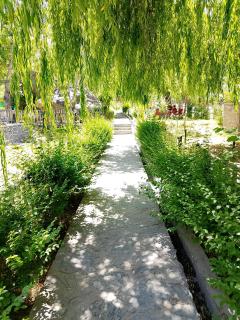 Hunza Garden - Gilgit - 8