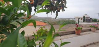 Ailamakis Apartements - Zakros - 4