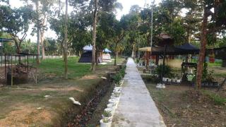 Tambo Orchard - - 9
