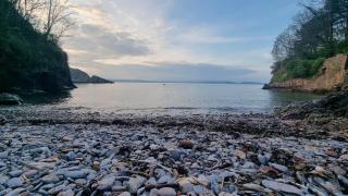 TWIN COVES at Curlew 1, The Cove, Brixham - Brixham - 1
