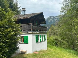 Cozy little chalet in a perfect location! - Champéry - 0