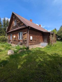 W Starym Sadzie - Białowieża - 0
