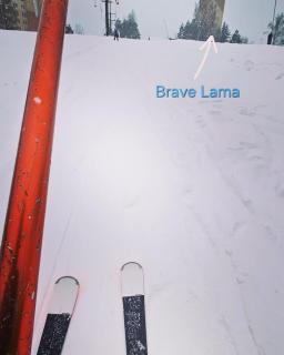 Brave Lama - Tanvald - 4