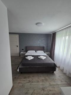 Casa Puiu - Câmpulung Moldovenesc - 7