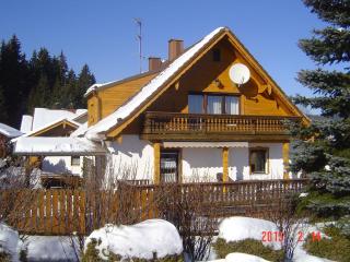 Haus-Johanna-2 - Riedlhütte - 1
