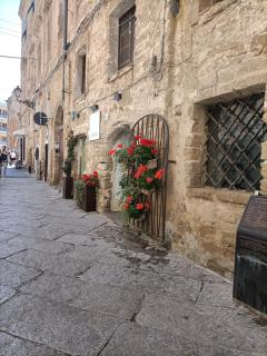 Stone house Alghero - Alghero - 7