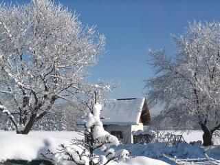 Alluring Holiday Home in Ubersee with Whirlpool - Übersee - 7