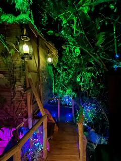 La Foret Tropicale Concepts en Barousse - Créchets - 0