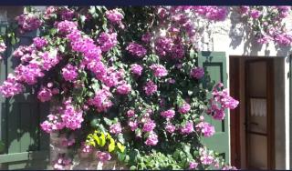 Casa Muslone - Muslone - 3