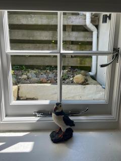 Stunning seaside cottage Charlestown harbour - 7