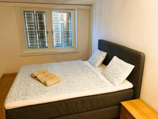 New Cozy 2 room Apartment in Zurich Old Town Center RENN - 8