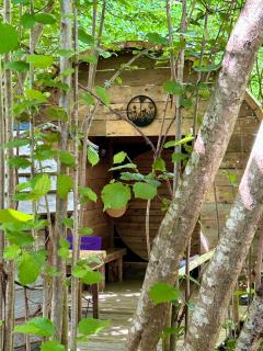 La Foret Tropicale Concepts en Barousse - Créchets - 6