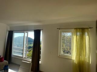 Peaceful oasis with sea view and parking spot - Babino Polje - 4