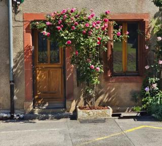Balneo détente - Baume-les-Dames - 4