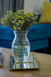 Midrand Cozy - Midrand - 3