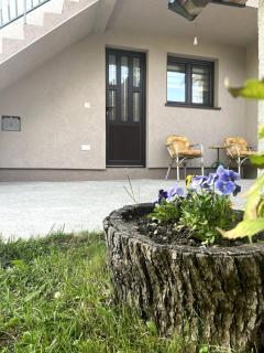 Petra corner - new flat with amazing view - Žabljak - 7