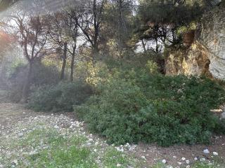 BREATHE Guest-house - Nizza - 4