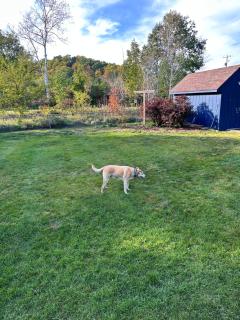 The Harbormaster - Suttons Bay - 5