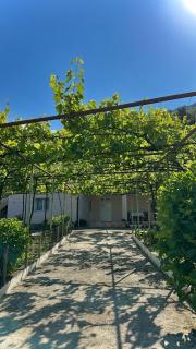 Magnus Apartments - 2