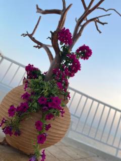 The Balcony House - Nea Moudania - 7