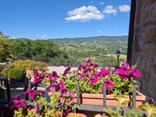 la casa della nonna - Collazzone - 6