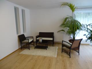 Haus Dr Beirergasse - Wiener Neustadt - 1