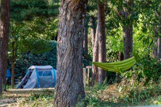 Camping Onlycamp la Rochette - Guillestre - 4