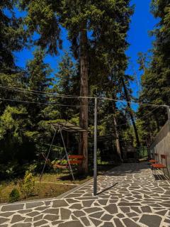 Hotel forest echo - 3