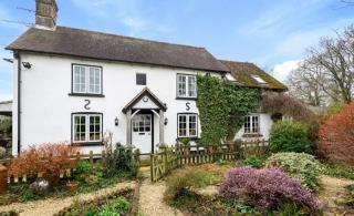Holdfast Cottage in the heart of The New Forest - Bramshaw - 0