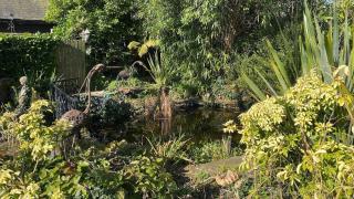 Holdfast Cottage in the heart of The New Forest - Bramshaw - 7