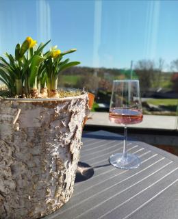 Penthouse avec vue - Durbuy - Hotton - La Roche en Ardennes - Han sur Lesse - Lumineux - Terrasses - Parking - Grand jardin - Noiseux - 7