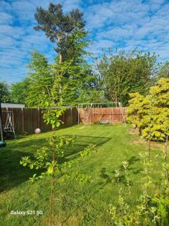 Serene Family Home and Gardens - 1