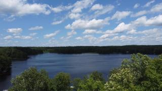 Wiley Woods Cottage - Minden - 7