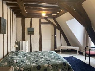 LOFT - Hôtel particulier XVII - centre ville Angers - Angers - 7