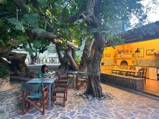 Villa Daphnis & Chloe - Pyrgi Thermis - 7