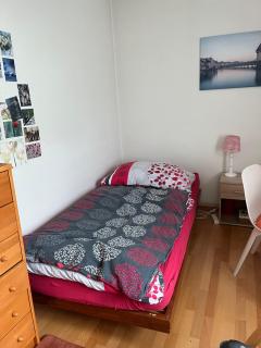 Ruhiges Gästezimmer - Winterthur - 9