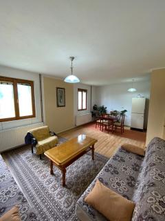 Žabljak Apartman - Žabljak - 8