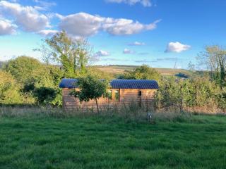 Owls Nest - Shepherds Hut Alfriston - Alfriston - 3