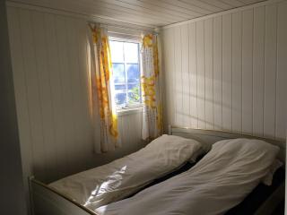 Sinesøyni in Byglandsfjord - Evje - Bygland - 9