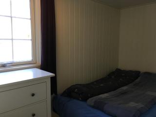 Sinesøyni in Byglandsfjord - Evje - 2