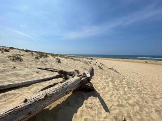 Villa Sur La Dune Moliets, 12 people, beach, golf - Moliets-et-Maa - 9