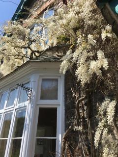 Pine Lodge - Lynton - 6