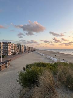 1 minutes walking to the sea, apartment in Koksijde - Koksijde - 1