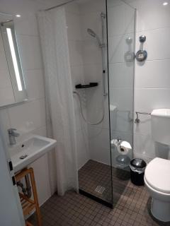 Litzi's Schwarzwald Apartment mit Kamin - Sasbachwalden - 2