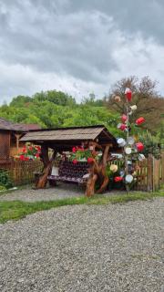 Casa Pintea de Sub Coastă - Breb - 3