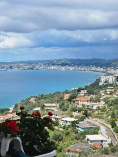 Mesaiz - Vlorë - 0