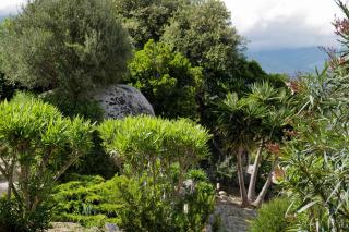 Résidence Casa di Sole - Sotta - 3
